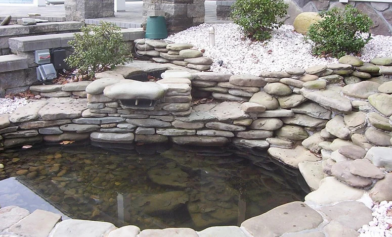 pond landscaping