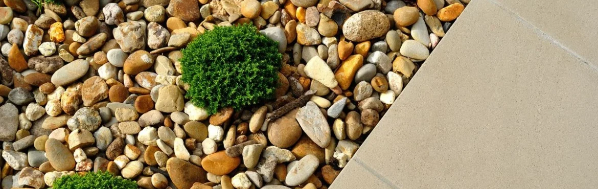 Backyard landscaping with stones and plants