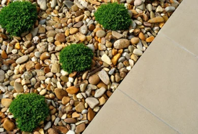 Backyard landscaping with stones and plants