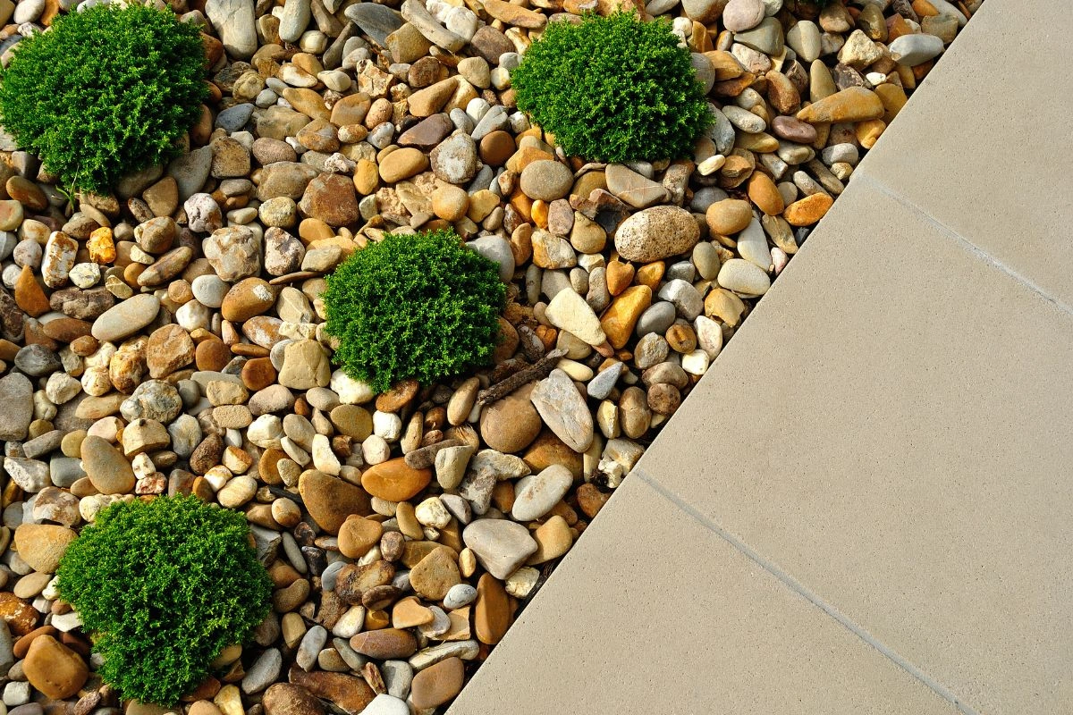 Backyard landscaping with stones and plants