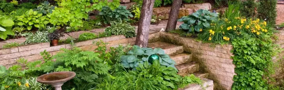 Retaining wall project in a residential garden.