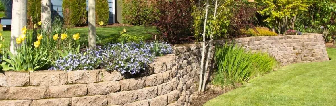 Retaining walls in a landscaped backyard.