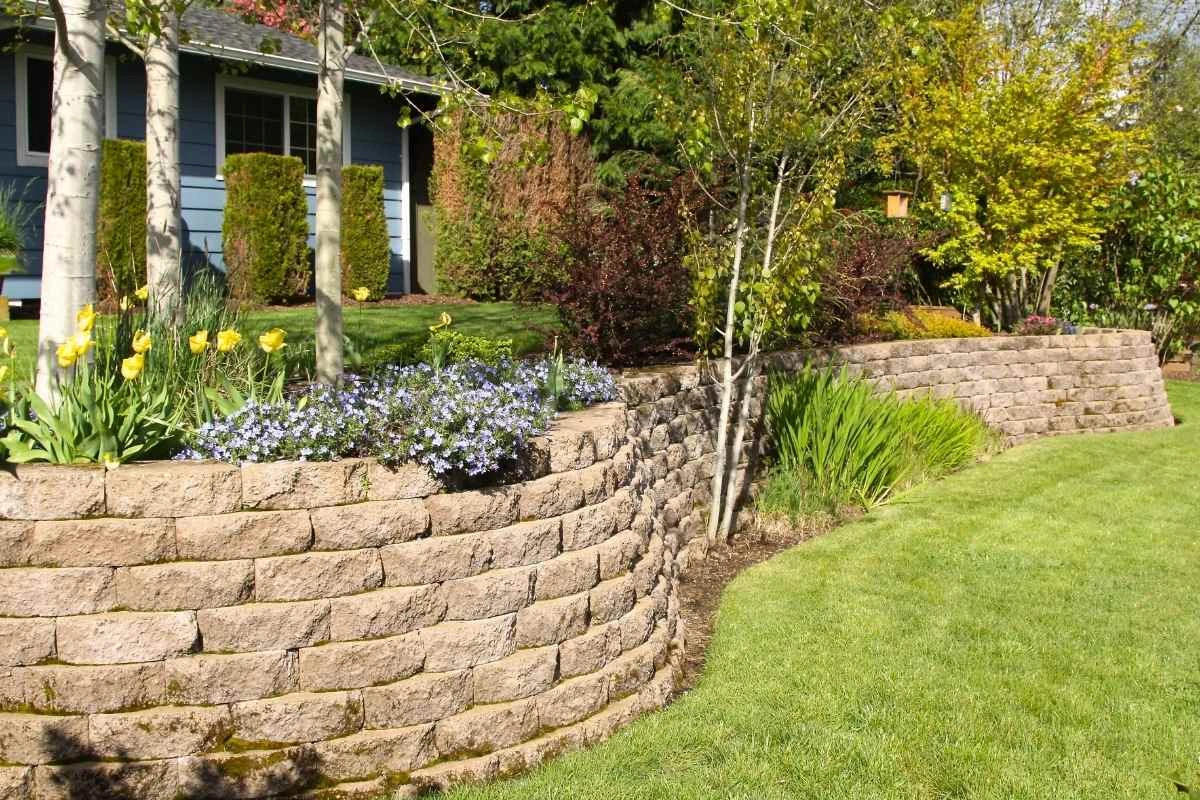 Retaining walls in a landscaped backyard.