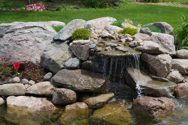 Landscaped pond feature in backyard yard