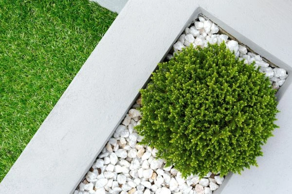 Beautiful yard landscaping with green grass